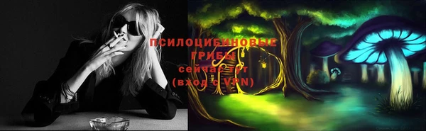 спиды Саяногорск