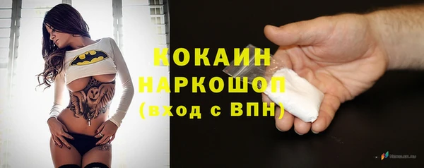 стафф Бородино