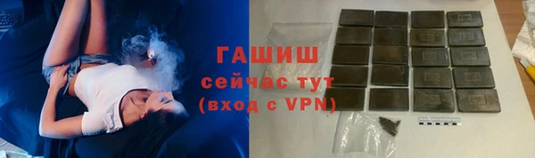 стафф Бородино