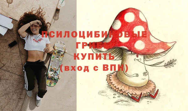 дживик Сатка