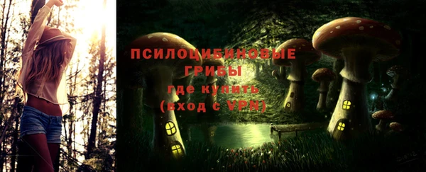 спиды Саяногорск